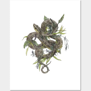 Gardener Snake Posters and Art